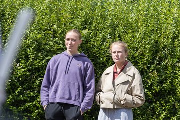 Bild 294 - Klippeldon